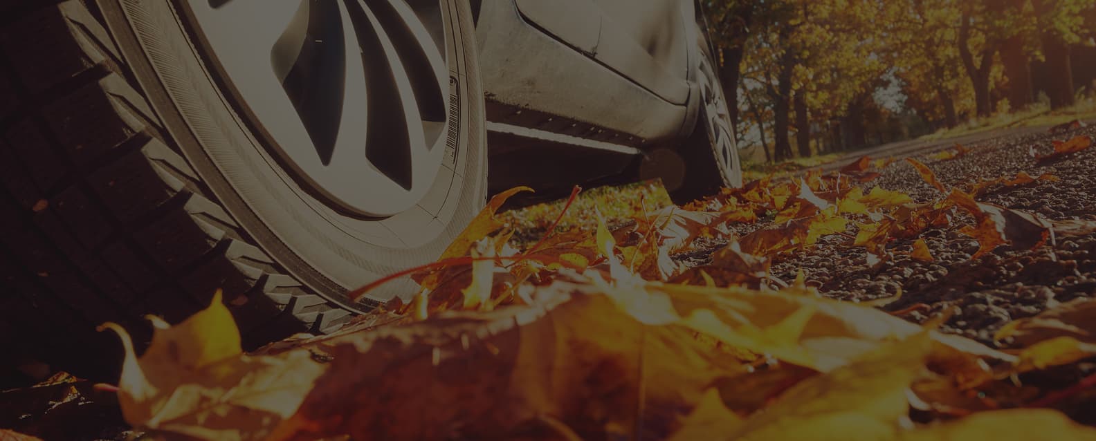 Fall Sale